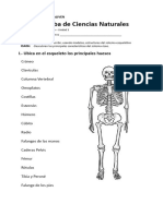 Ciencias Naturales Septiembre 2023