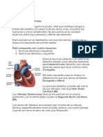 Fisiologia P - Documentos de Google