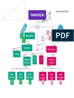 Transcrição: Procariotos Eucariotos