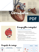 Sistemul Circulator