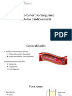 HistologÃ - A 7 - Vascular y SanguÃ - Neo.