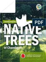 Native Trees Chandigarh