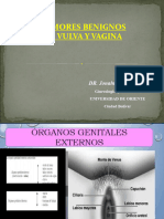 Patología de Vulva y Vagina Nuevo (Recuperado)