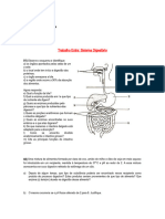 Atividade Extra - Fisiologia - Sistema Digestório