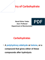 Carbohydrate I