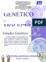 Pruebas Geneticas