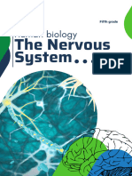 Homework Fifth Grade Nervous System