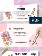 Adaptacion, Inteligencia, Organizacion, Asimilacion y Acomodacion Oficial