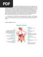 5-Digestive System