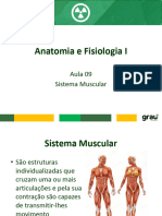 Aula 09 - Anatomia