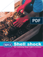 Shell Shock RPT
