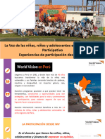 Experiencia de PP Desde WV