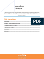 Theorie Des Organisations Chap 4 Lecon 1 Cours v6