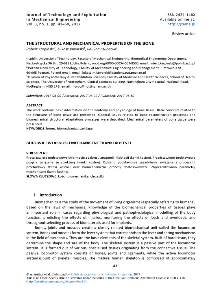 Bone Structure and Mechanical Properties | PDF | Bone | Strength Of ...