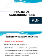Roteiro Projeto Agroindustria