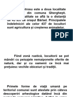 Prezentare Fără Titlu 1