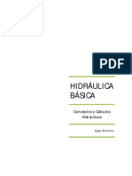 HIDRAULICA BASICA Conceptos y Calculos H