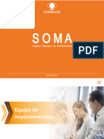 SOMA Roles y Funciones