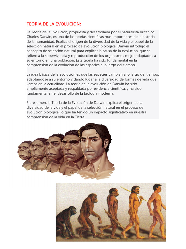Teoria de La Evolucion | PDF | Evolución | Teoría