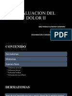 eEVALUACION DEL DOLOR II