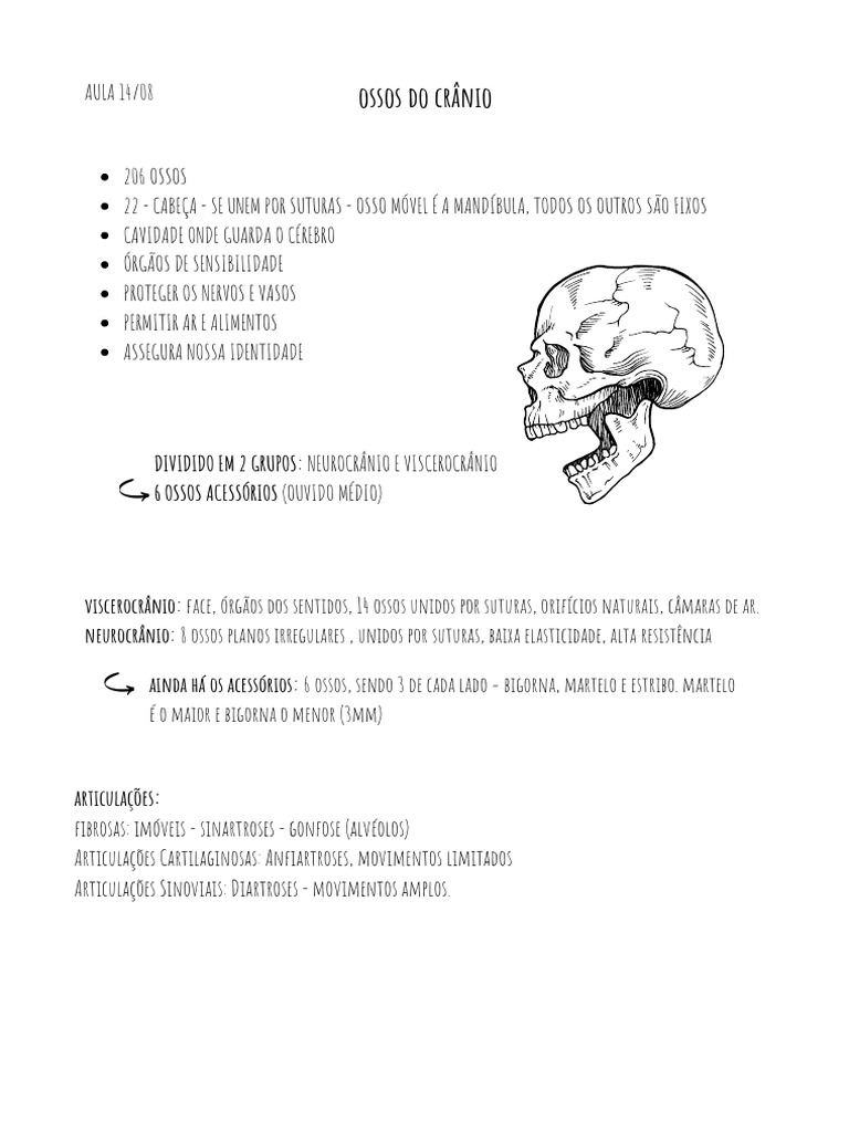 Ossos Do Cranio Pdf Crânio Sistema Locomotor
