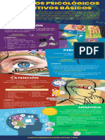 Procesos Psicológicos Cognitivos Básicos