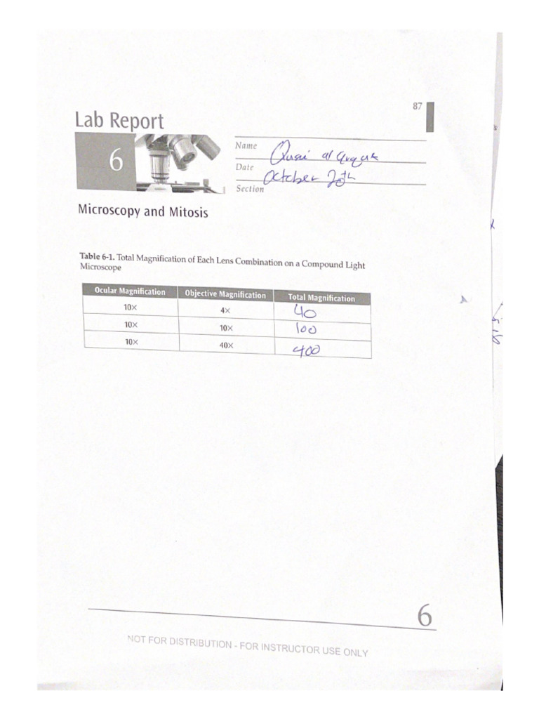 Lab report pdf