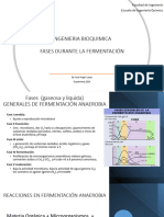 Fases de La Fermentación