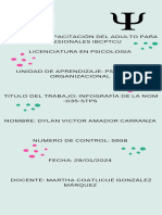 Infografia Nom 35