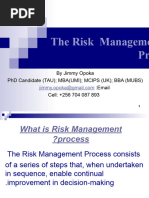 The Risk Management Process