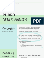 TP Auditoria - Rubro Caja y Bancos