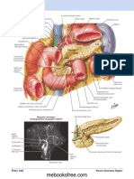 Pancreas - Netter's Atlas of Human Anatomy-7ed English (2018) 3