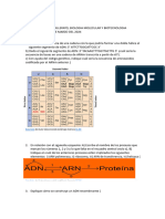 Examen 2 Bachillerato Biologia Molecular