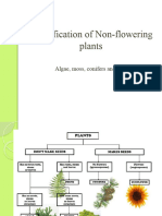 Classification of Non-Flowering Plants