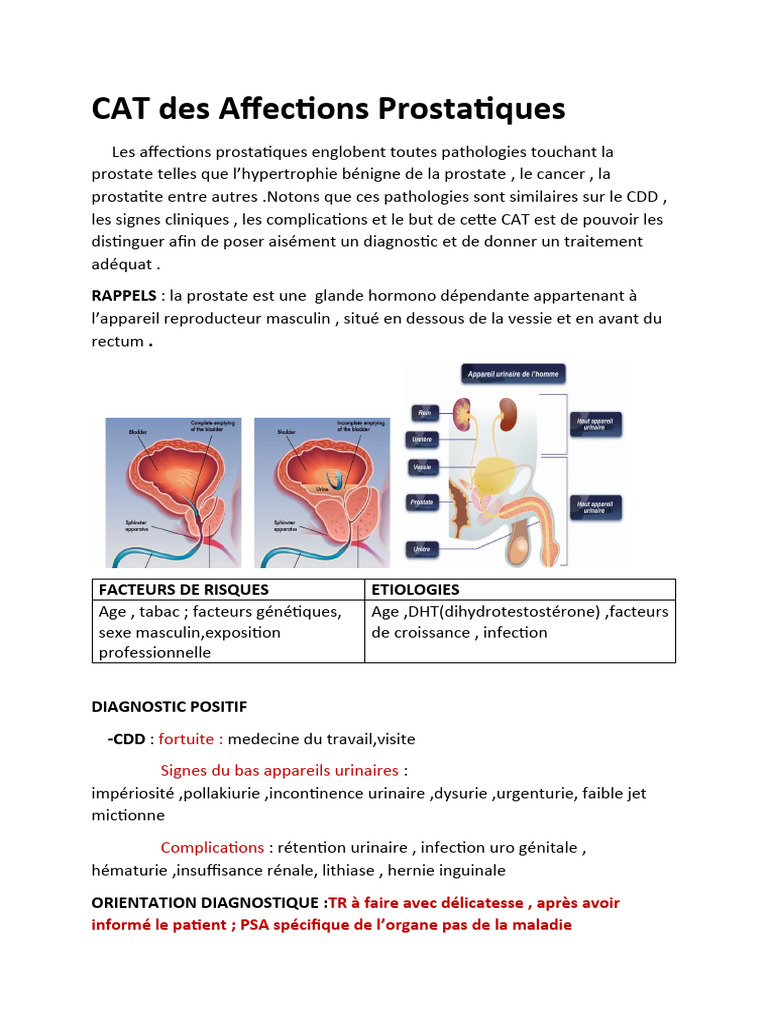 Affections Prostatiques chez le Chat | PDF | Cancer de la prostate ...
