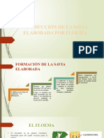 Crecimiento y Desarrollo de Las Plantas