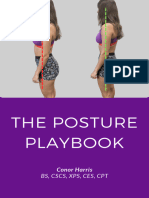 f2026ed-62f-dc1b-1c4-afe8b5a0e5da_The_Posture_Playbook