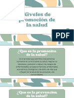 Niveles de Promoción de La Salud-1