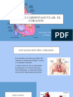 Aparato Cardiovascular. Dafned