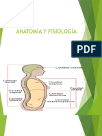 Anatomia PPT 3