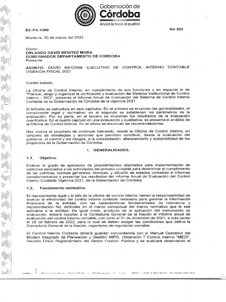 Informe Ejecutivo de Control Interno Contable | PDF