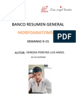 Banco Resumen Semanas 9-15 Morfoanatomía Luis Heredia