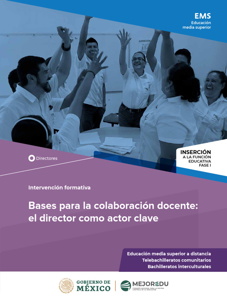 IF Bases Colab Docente | PDF