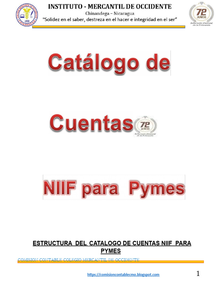 Catálogo de Cuentas NIIF para PYMES | PDF | Contabilidad | Bancos