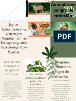 Flyer Folleto Triptico Plantas Vivero Divertido Moderno Orgánico Verde - 20240128 - 170629 - 0000