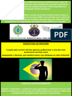 11acarreiramilitar 180121215426