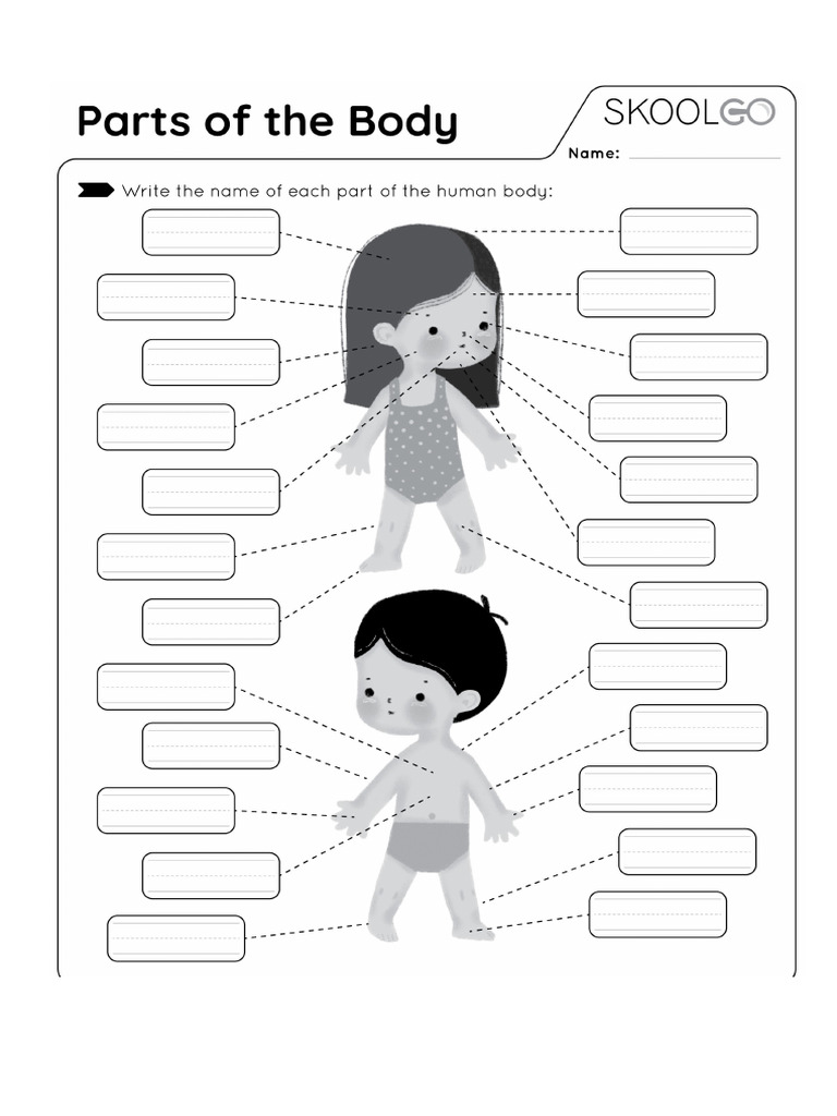 Body Parts - Homework | PDF