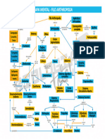 Mapa Artropodas - Compressed