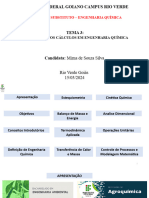 Tema 1 - Introdução Aos Cálculos Em Engenharia Química