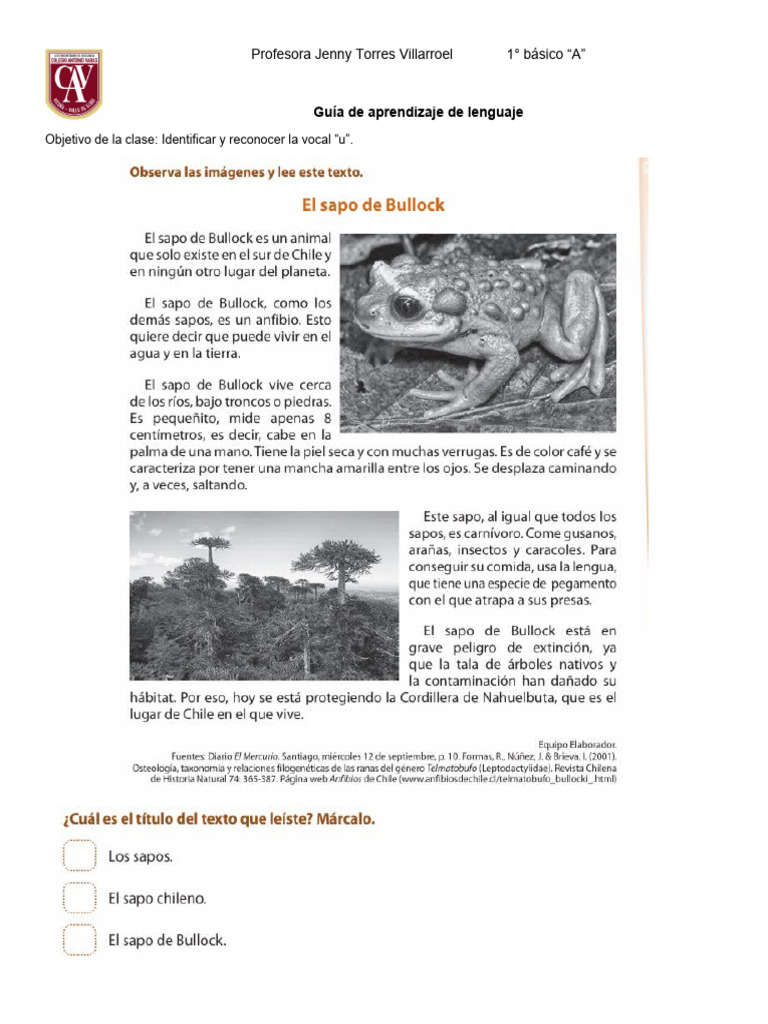 Guía de Actividades 1 Clase Lenguaje 1° Básico | PDF